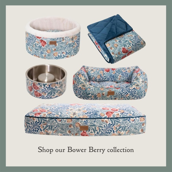 Rosewood x Morris & Co. Bower Berry Round Bed for Dogs and Cats, Small Dog Bed, Blue, Raised Padded Sides, Soft and Calming, Easy-Care, Luxury William Morris Print - Image 7
