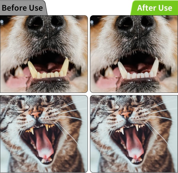 Dog Toothbrush 6 Pcs, Long Handle Double Head Pet Toothbrushes and Pet Finger Teeth Brush for Dogs Tooth Cleaner Care for Small to Large Dogs Cats Cleaning Mouth - Image 7