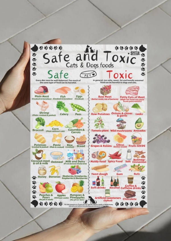 Safe and Toxic Foods for Dogs and Cats Essential Pet Health Guide fridge MAGNET - Size A4 (8.3 x 11.7 inch) - Image 4