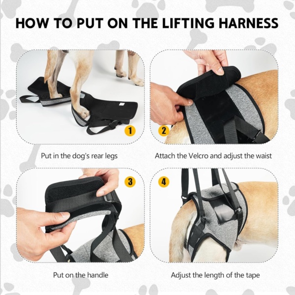 Dog Lifting Harness for Back Legs, Dog Support Harness Slings for Large Medium Small, Adjustable Dogs Brace for Hind Leg, Support Strap for Injured Disabled Elderly Dogs Walking Aid (XL) - Image 7