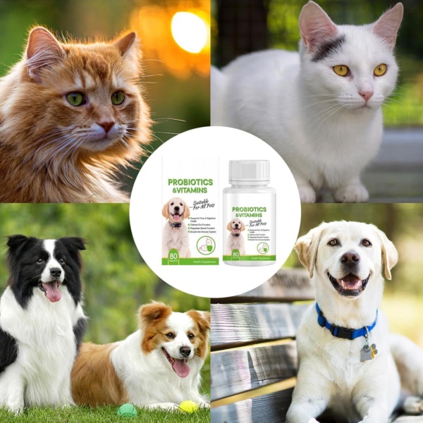 Digestive Tablets for Dogs - Pet Probiotic Tablets Pet Health Supplement Probiotic | Dog Probiotic Support Gut Health, Itchy Skin, Allergies, Yeast Balance, Immunity - Image 9