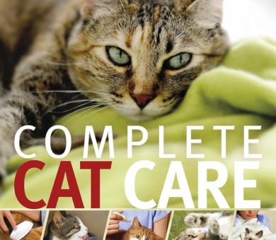Complete Cat Care: How to Keep Your Cat Healthy and Happy (DK Practical Pet Guides)