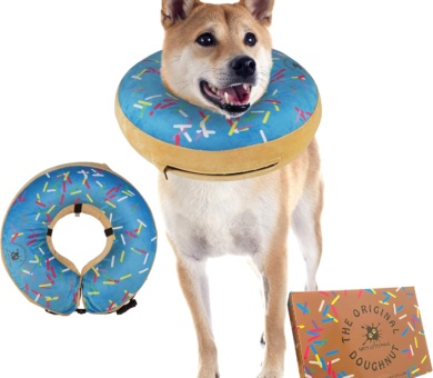 Inflatable Dog Collar | Super Comfy Recovery Collar for Medium Dogs (Blue)