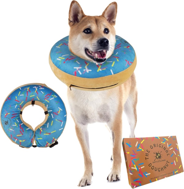 Inflatable Dog Collar | Super Comfy Recovery Collar for Medium Dogs (Blue)