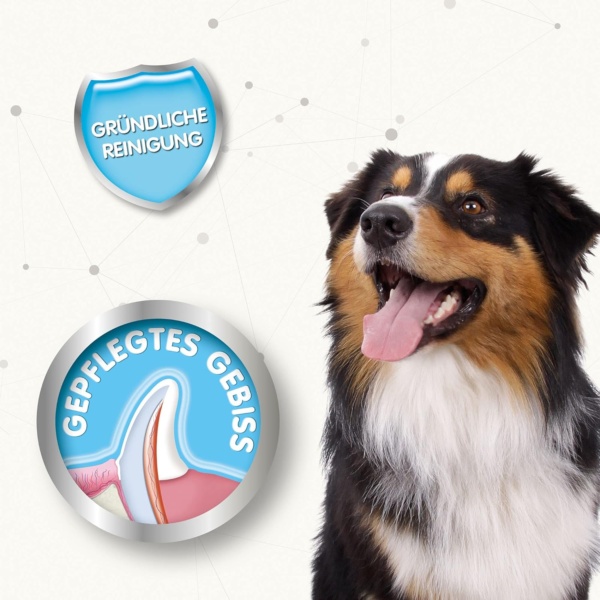 Beaphar | Finger Toothbrush | Dental Care For Dogs & Cats | For Accurate Cleaning | Soft Bristles | Ideal for Sensitive Pets | 2 Pack, Red - Image 5