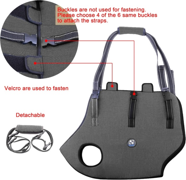 Coodeo Dog Lift Harness, Pet Support & Rehabilitation Sling Lift Adjustable Padded Breathable Straps for Old, Disabled, Joint Injuries, Arthritis, Loss of Stability Dogs Walk (Black, M) - Image 2