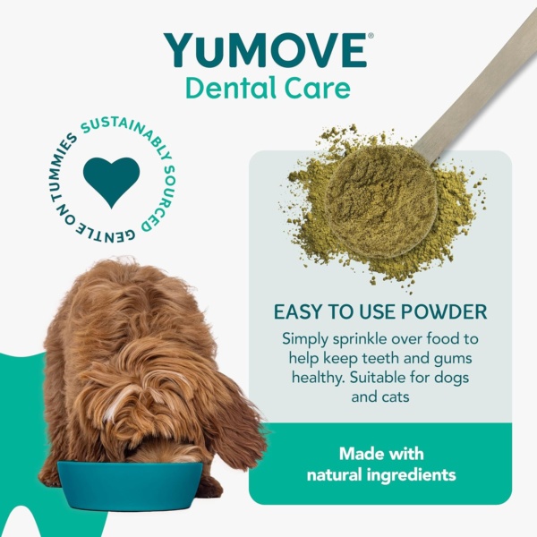 YuMOVE Daily Clean Dental Powder, Dog & Cats Teeth Cleaning Products for Dental Care, Plaque Remover and Prevention, Breath Freshener, All Breeds From 6 Months, 90g - Image 4