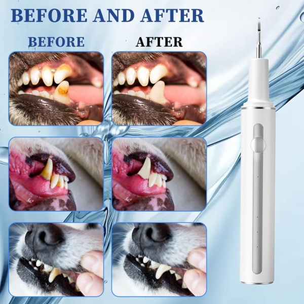 Pet Tooth Brushing Kit, Remover for Teeth Dog, Plaque Remover Safe for Dogs and Cats, 3 Modes, Pet Tooth Cleaner Dental Care Tartar Plaque Remover with LED Light (White) - Image 4