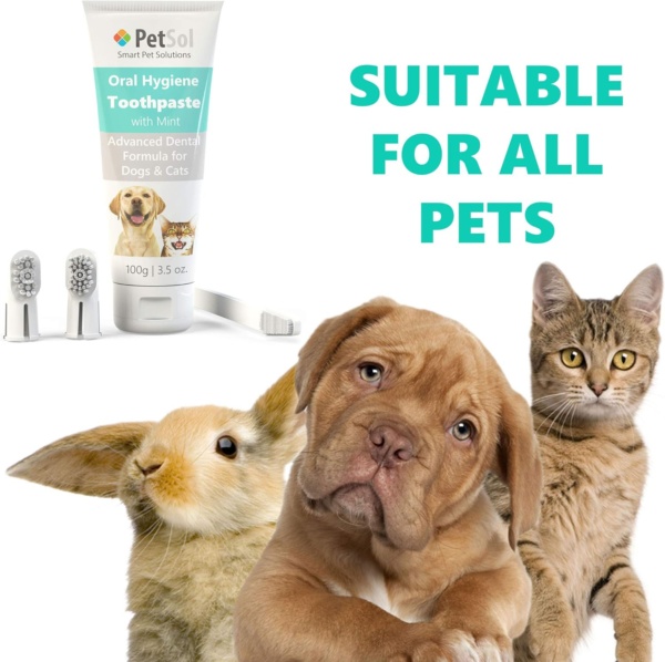 Dental Care Kit for Dogs & Cats Toothpaste (100g) with 3 x Toothbrushes to Clean Pet's Teeth, Remove Plaque and Tartar, Improve Gum and Tooth Health & Pet Oral Hygiene - Image 5