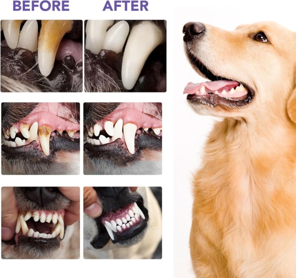 Dental Powder for Dogs & Cats, Dog Breath Freshener, Dog Dental Care, Plaque Off & Tartar Remover for Dogs Cats, Teeth Cleaning Made Easy Eliminate, Formulated for All Ages Pet - 100g - Image 9