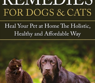 Natural Remedies For Dogs & Cats: Heal Your Pet At Home The Holistic, Healthy and Affordable Way (Holistic, herbal, natural treatments and supplements ... digestive conditions, vitality Book 1)
