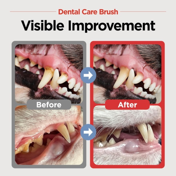 JAYU PET Dental Care Brush (Soft Bristles) - Toothbrush for Cat and Small Dog with Horizontal Head & Easy Grip Handle - Image 2