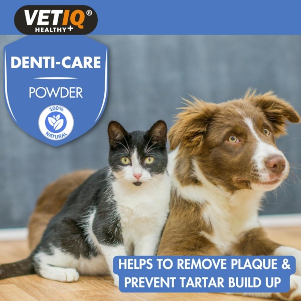 VETIQ Denti-Care Powder For Cats 12+ Weeks & Dogs 8+ Weeks, Natural Oral Care Remedy to Help Remove Plaque & Prevent Tartar Build Up & Keeps Teeth Cleans & Freshens Breath, 60 g (Pack of 1) - Image 6