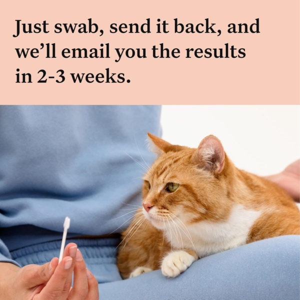 Wisdom Panel Complete: Comprehensive Cat DNA Test for 45 Health Genetic Health Conditions | 70+ Breeds and populations | 25+ Traits | Blood Type - Image 3