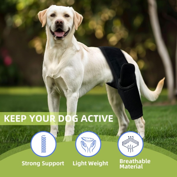 Dog Leg Braces for Back Leg Dog ACL Brace for Torn and Back Hind Rear Legs ACL Tear, Dog Leg Brace for Hip Dysplasia, Dog Arthritis, Luxating Patella(Size L) - Image 3
