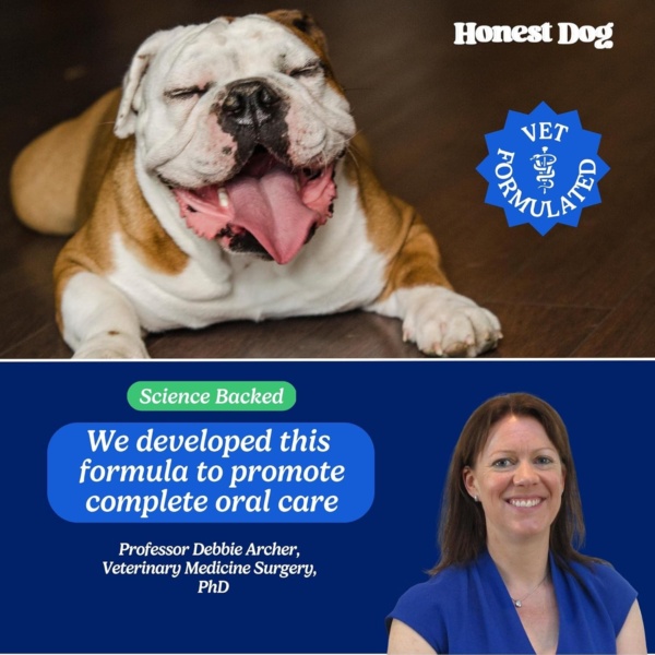 Dog Dental Formula for Water - Dog Breath Freshener in Water - Vet Formulated Dog Mouthwash - Pet Plaque Remover - Easy Daily Use Formula - Dog Teeth Cleaning Products by Honest Dog Co - Image 3