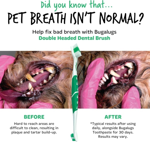 Bugalugs Dog Toothbrush & Cat Toothbrush Dual Ended Dog Plaque Remover, Our Dental Dog Teeth Cleaning Products Makes Dog Teeth Cleaning Easier use with Dog Toothpaste & Cat Toothpaste - Image 3