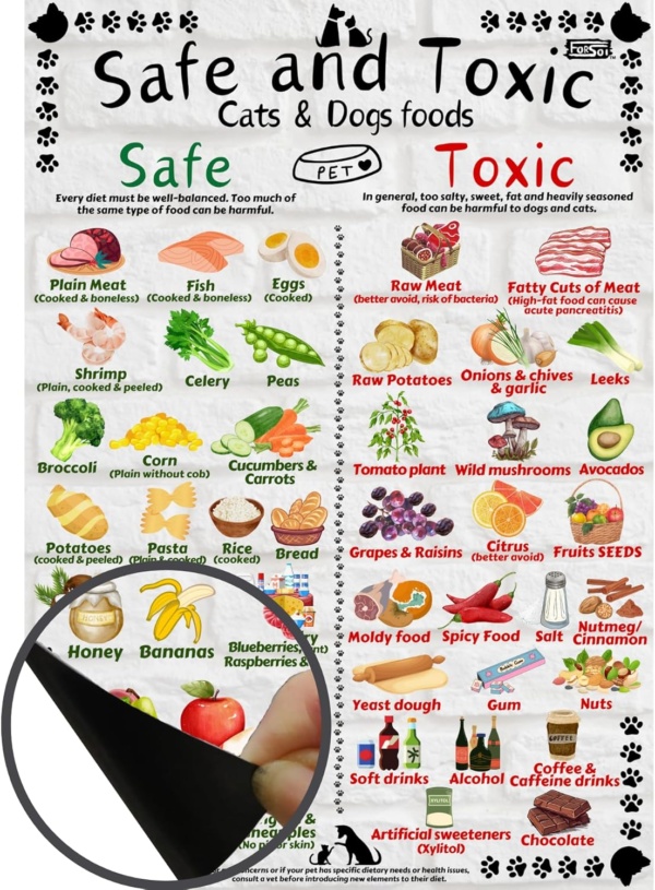 Safe and Toxic Foods for Dogs and Cats Essential Pet Health Guide fridge MAGNET - Size A4 (8.3 x 11.7 inch)