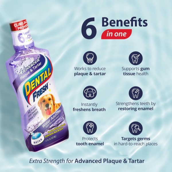 Dental Fresh Water Additive - Original Formula for Dogs - Clinicially Proven, Simply Add to Pet’s Water Bowl to Whiten Teeth, Eliminate Bad Breath, and Improve Oral Health (17 oz) - Image 2