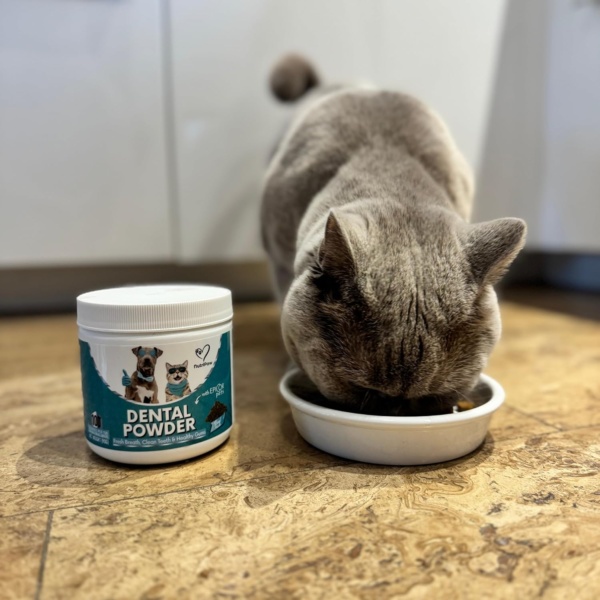 NutriPaw Dental Powder For Dogs & Cats - Clean Teeth, Healthy Gums & Fresh Breath - Manage Plaque & Tartar Build-Up - Fuss-Free - No Brushing Needed - Lasts Up To 6 Months - Image 9