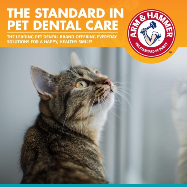 Arm & Hammer For Pets Fresh Breath Dental Kit for Cats, Tuna - Image 5