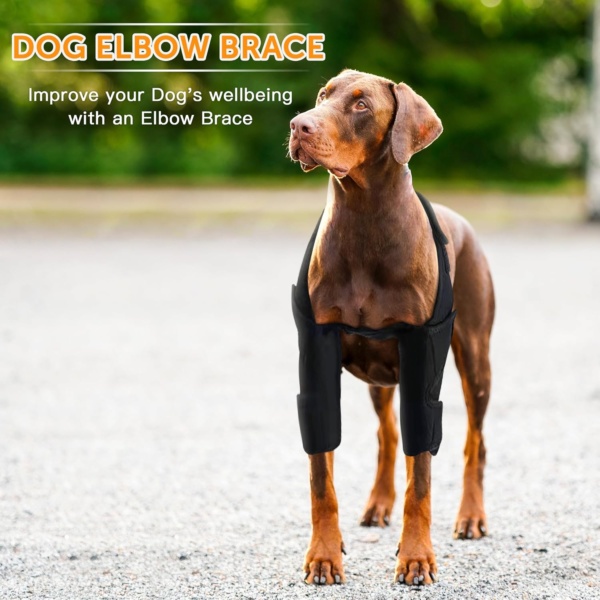 Dog Elbow Protector for Pet Elbow Dysplasia, Shoulder Dislocation - Offers Elbow Support, Dog Recovery Suit Taper Collar Alternative, Helps Wound Healing (L, Both Legs) - Image 3