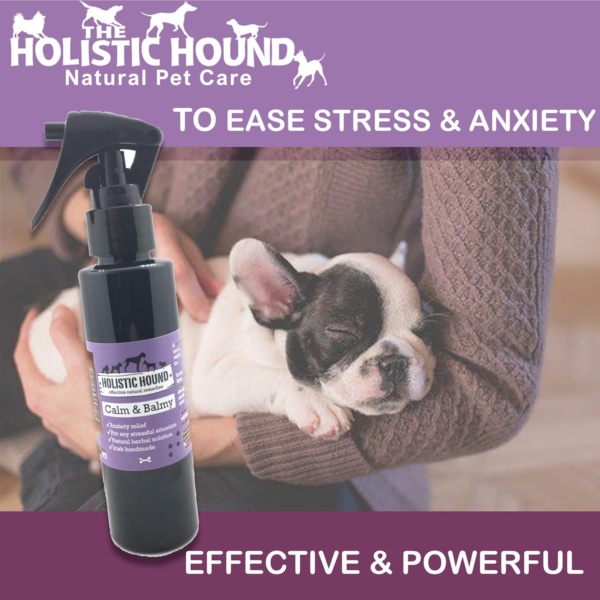 Calm n Balmy Calming Spray for Dogs & Pets - Lavender Spray to Reduce Anxiety and Aggression - 100% Natural Essential Oils, No Chemicals, Parabens or Pheromones - 100ml Spray Bottle - Image 3