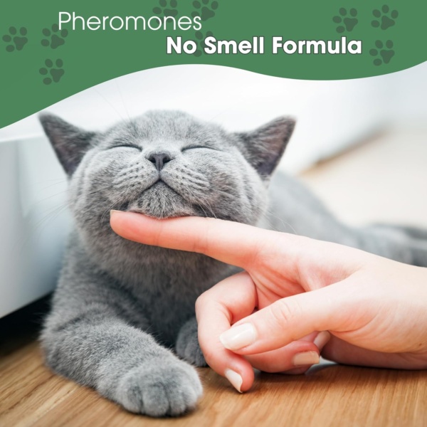 Cat Calming Diffuser with Feline Pheromones, No Smell Stress & Anxiety Relief for Cats, 30-Day 2 x 48 ml Refills, Easy Plug-in Solution for Calming. Diffuser not Include - Image 4