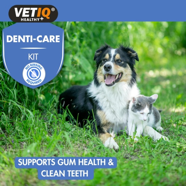 VETIQ Denti-Care Kit Twin Pack for Dogs 2+ Months & Cats 3+ Months Contains Enzymatic Toothpaste to Help Fight Tartar & Dental Plaque, Bamboo Toothbrush & a Silicone Finger Sleeve, (2 x 70 g) - Image 8