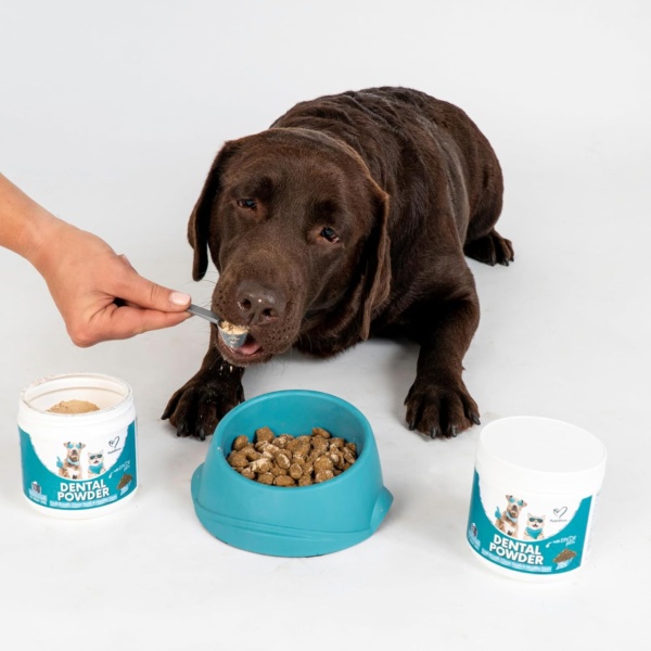 NutriPaw Dental Powder For Dogs & Cats - Clean Teeth, Healthy Gums & Fresh Breath - Manage Plaque & Tartar Build-Up - Fuss-Free - No Brushing Needed - Lasts Up To 6 Months - Image 3