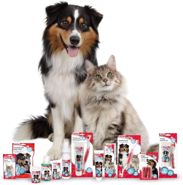 Beaphar | Toothbrush & Toothpaste Dental Care Kit | For Dogs & Cats | Includes A Double-Ended Toothbrush & Liver-Flavoured Enzymatic Toothpaste, 100g Tube, 2 Count (Pack Of 1) - Image 7