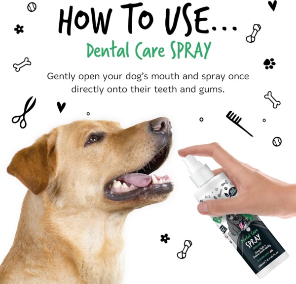 BUGALUGS Dog Breath Freshener Dental Care Dog Spray. Clean Teeth, Healthy Gums & Fresh Breath - Natural Dog plaque remover & tartar remover for teeth. No Brushing Needed (Dog 250ml Spray) - Image 6