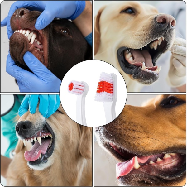 3 Pcs Pet Toothbrushes Double Headed Convenient Soft Bristles Puppy Long Handle Easy Teeth Cleaning Dental Hygiene Care Tooth Brushes for Small to Large Dogs Cats and Most Pets - Image 7