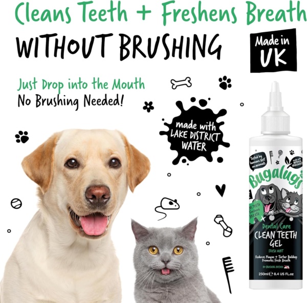 Bugalugs Dental Care Clean Teeth Gel Tooth Cleaner Essentials. No Brushing Breath Freshener Treatment, Plaque Removal Products, Tartar Remover for Teeth for Dogs, Cat Dental, Puppy & Kitten - Image 2