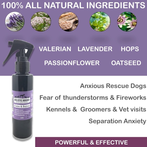Calm n Balmy Calming Spray for Dogs & Pets - Lavender Spray to Reduce Anxiety and Aggression - 100% Natural Essential Oils, No Chemicals, Parabens or Pheromones - 100ml Spray Bottle - Image 6