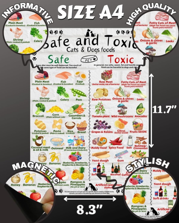 Safe and Toxic Foods for Dogs and Cats Essential Pet Health Guide fridge MAGNET - Size A4 (8.3 x 11.7 inch) - Image 3