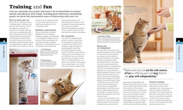 Complete Cat Care: How to Keep Your Cat Healthy and Happy (DK Practical Pet Guides) - Image 6