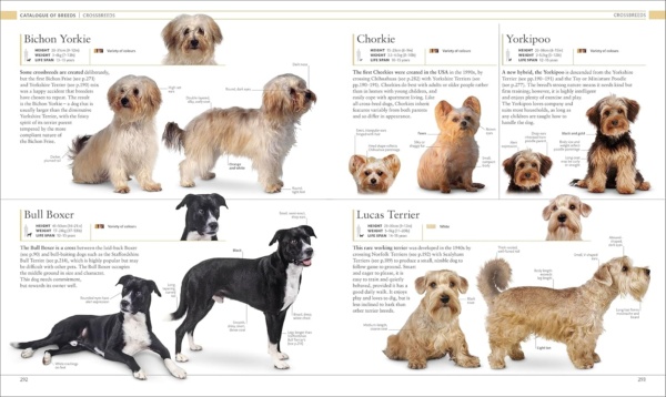 The Dog Encyclopedia: The Definitive Visual Guide (DK Pet Encyclopedias) - Image 11