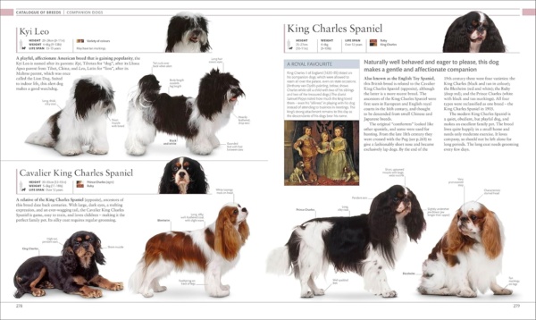The Dog Encyclopedia: The Definitive Visual Guide (DK Pet Encyclopedias) - Image 10