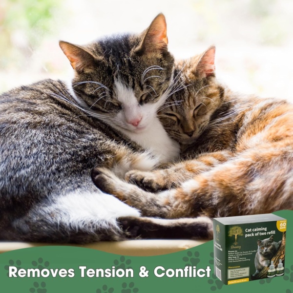 Cat Calming Diffuser with Feline Pheromones, No Smell Stress & Anxiety Relief for Cats, 30-Day 2 x 48 ml Refills, Easy Plug-in Solution for Calming. Diffuser not Include - Image 6