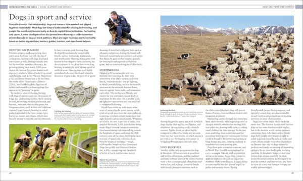 The Dog Encyclopedia: The Definitive Visual Guide (DK Pet Encyclopedias) - Image 4