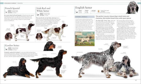The Dog Encyclopedia: The Definitive Visual Guide (DK Pet Encyclopedias) - Image 9
