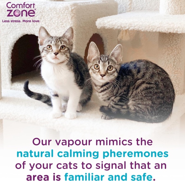 Calming Pheromone Diffuser Starter Kit, for a Calm Single or Multi-Cat Home, Reduces Stress, Spraying, Scratching & Other Problematic Behaviours, 1 Diffuser & 1 Refill - Image 7