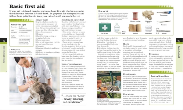 Complete Cat Care: How to Keep Your Cat Healthy and Happy (DK Practical Pet Guides) - Image 10