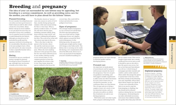 Complete Cat Care: How to Keep Your Cat Healthy and Happy (DK Practical Pet Guides) - Image 9