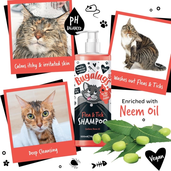 Flea and Tick Cat Shampoo by Bugalugs 500ml, Deep Cleansing for Cats for Fleas, Ticks & Mites contains Neem Oil, PH Balanced Vegan (500ml Flea Shampoo) - Image 2