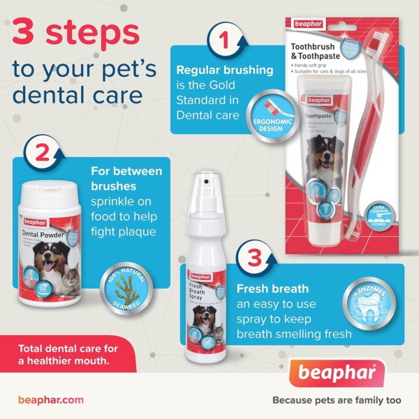 Beaphar Toothpaste for Dogs and Cats, 100g - Image 3