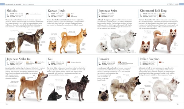 The Dog Encyclopedia: The Definitive Visual Guide (DK Pet Encyclopedias) - Image 7