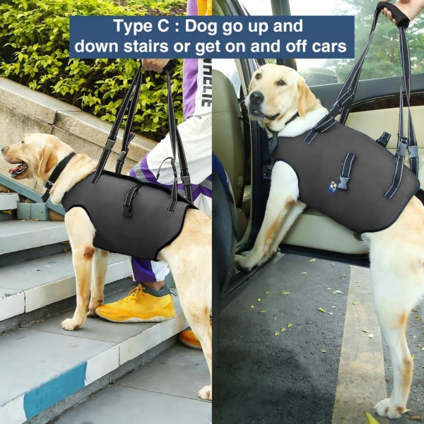 Coodeo Dog Lift Harness, Pet Support & Rehabilitation Sling Lift Adjustable Padded Breathable Straps for Old, Disabled, Joint Injuries, Arthritis, Loss of Stability Dogs Walk (Black, M) - Image 5