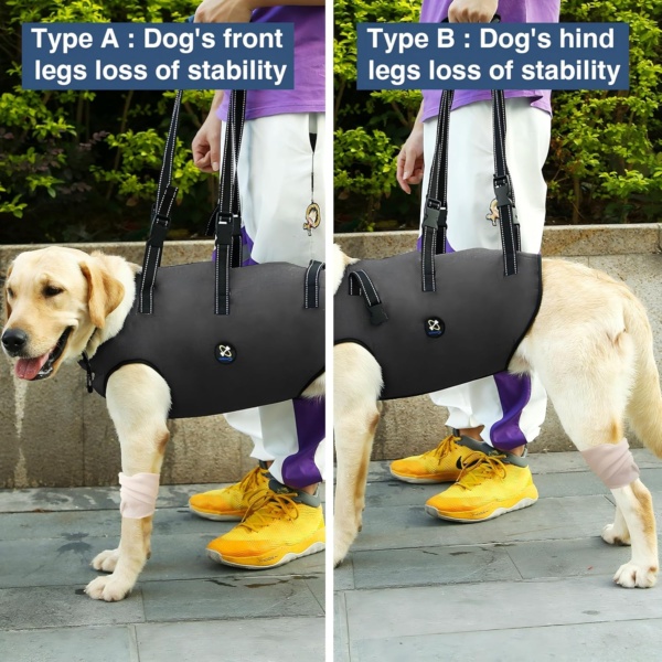 Coodeo Dog Lift Harness, Pet Support & Rehabilitation Sling Lift Adjustable Padded Breathable Straps for Old, Disabled, Joint Injuries, Arthritis, Loss of Stability Dogs Walk (Black, M) - Image 4